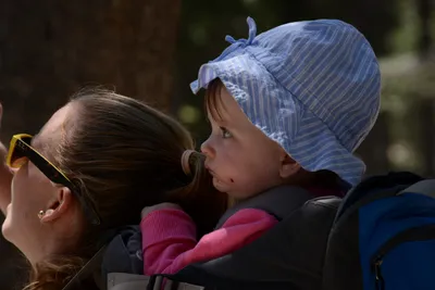 DSC_3673 (Large).JPG